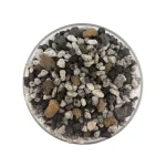 cactus-soil-01-landiris