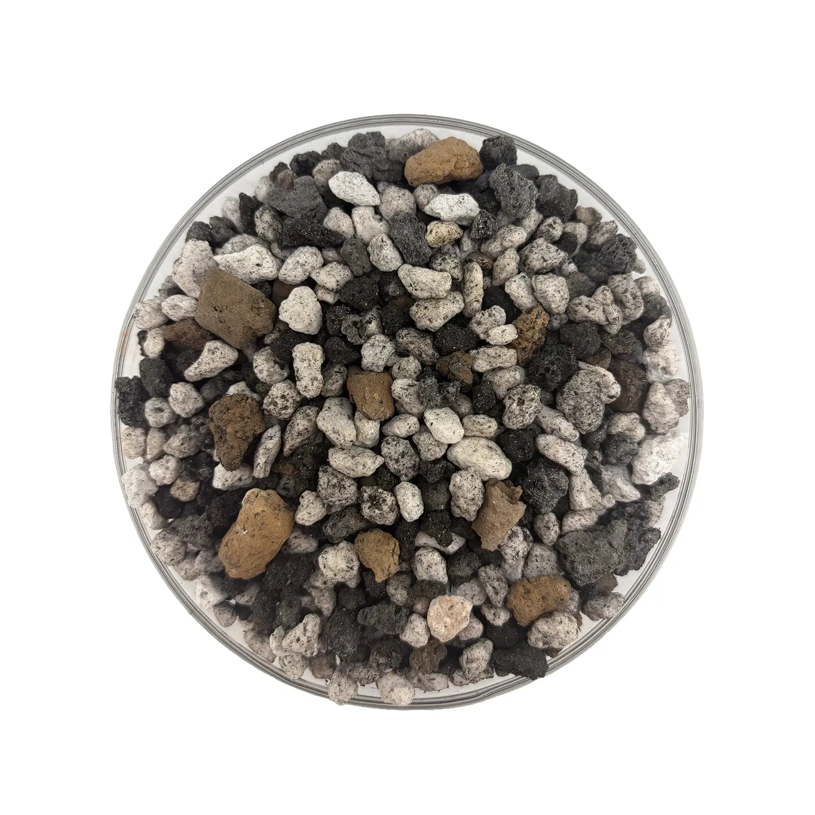 cactus-soil-01-landiris