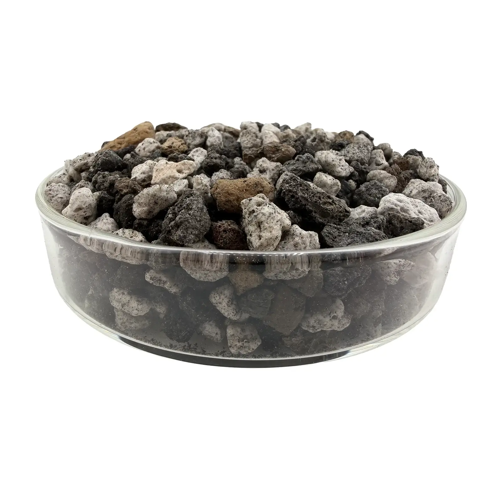 cactus-soil-01-sideview-landiris