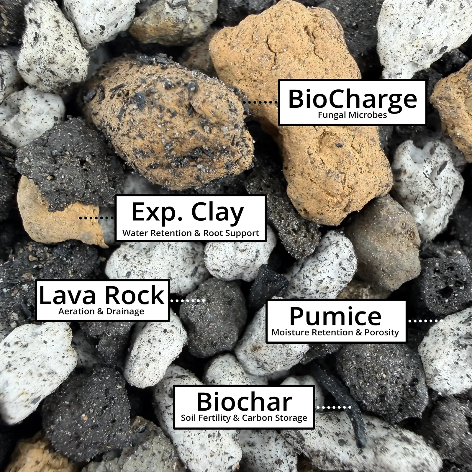 cactus soil description landiris