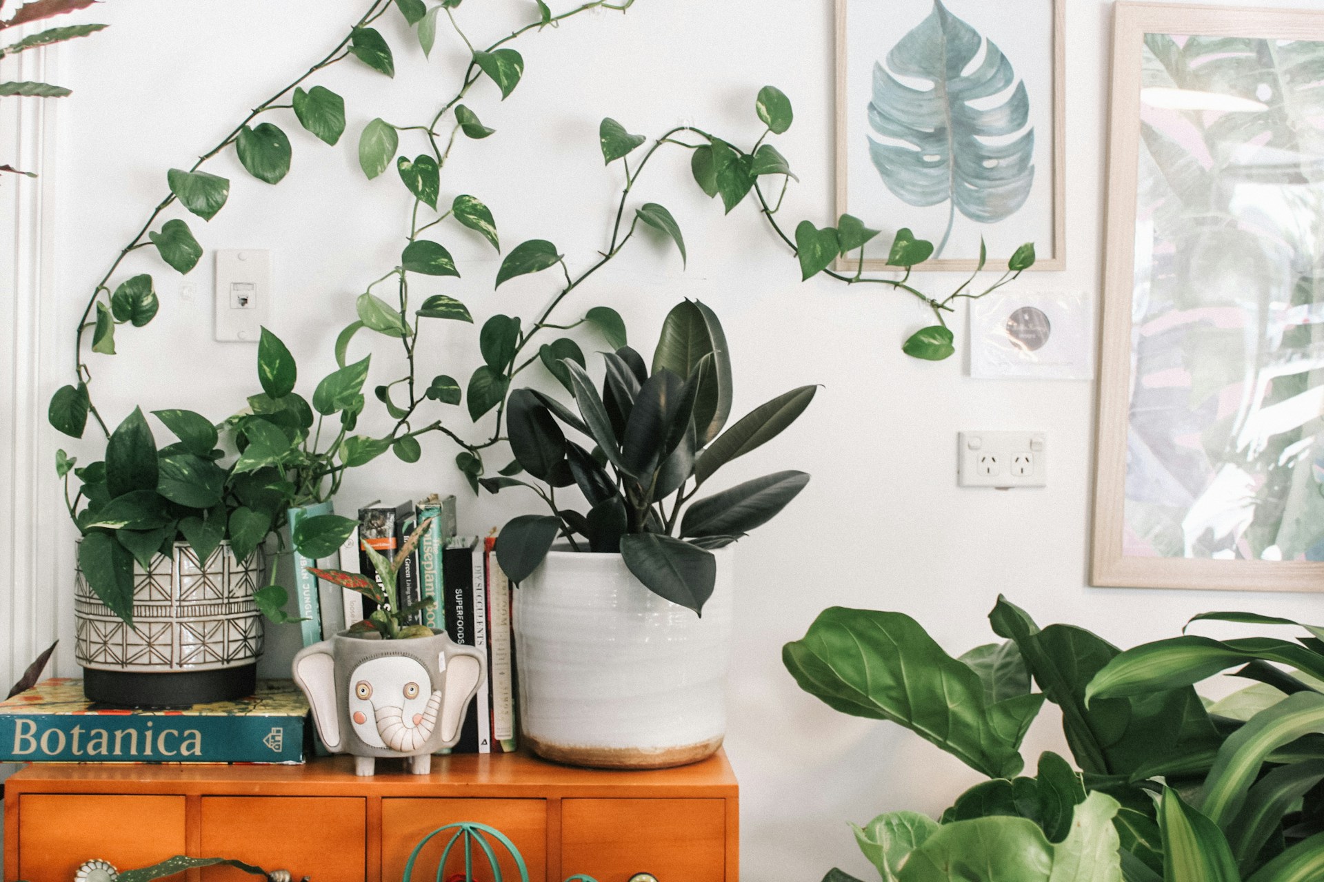 Why Drainage Holes Aren’t Enough: The Secret to Truly Healthy Roots