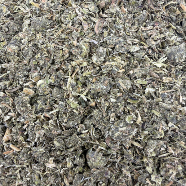 Alfalfa