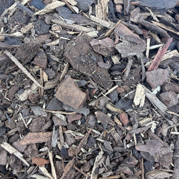 Pine Bark