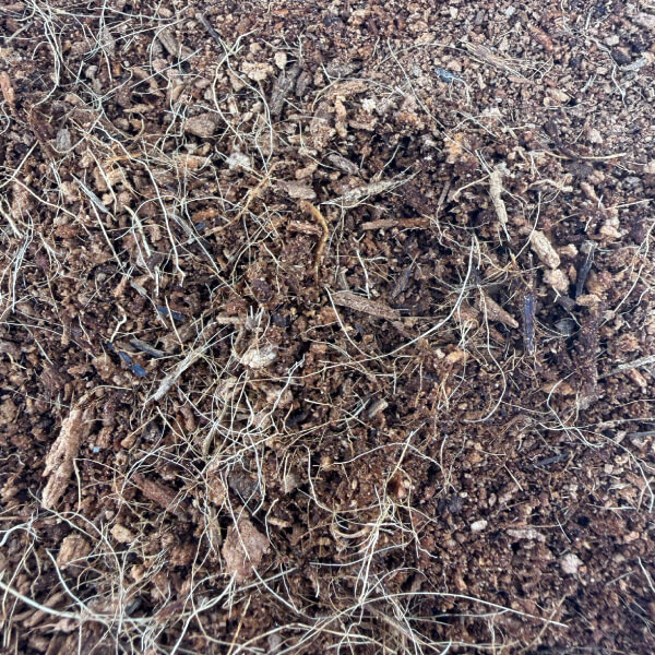 Coco Coir