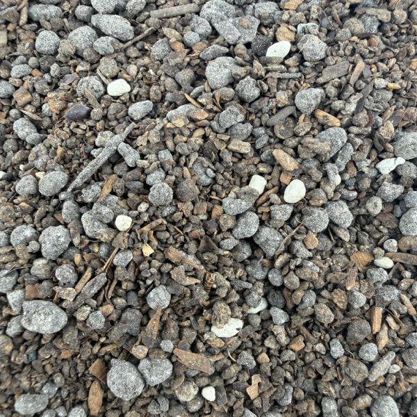 Mycorrhizal