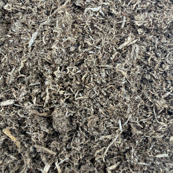 Sphagnum Moss