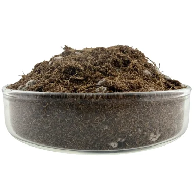 carnivorous-soil-01-sideview-landiris-side stack