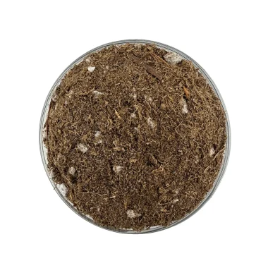 carnivorous-soil-01-top-landiris